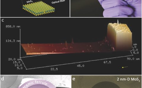 Adv. Mater.：超灵敏的薄层MoS2压力感测器