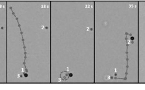Adv. Mater. 武汉理工大学:光控各向异性半导体微电机