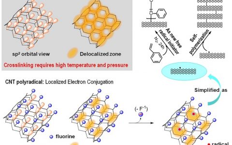 Nano Lett. 中科院苏州纳米所陈立桅团队：碳管上的活性自由基及其室温交联