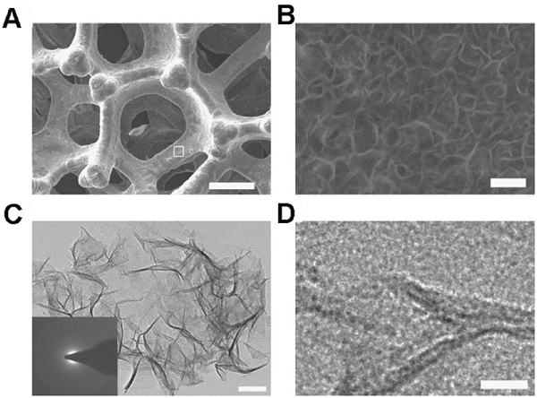 adma201602270-fig-0017-m