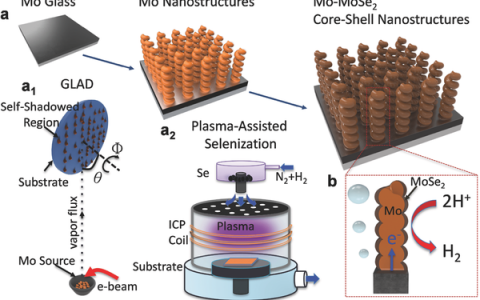 Adv. Mater. 电子科大：1T和2H型二硒化钼/钼核壳三维纳米结构实现高效析氢