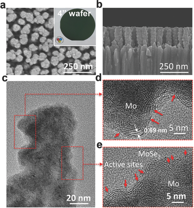 adma201602697-fig-0003