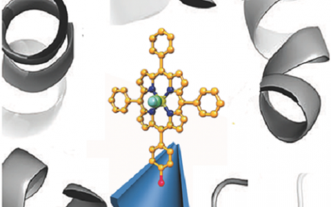 Adv. Mater. 北航:仿生平滑肌细胞的一氧化碳调控离子纳米通道