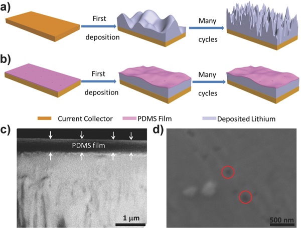adma201603755-fig-0001-m