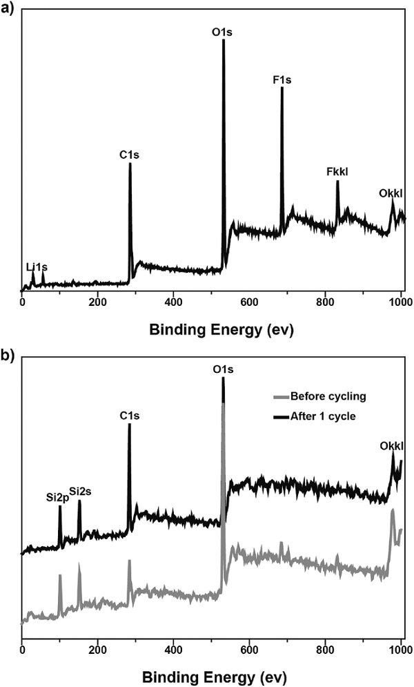 adma201603755-fig-0003-m