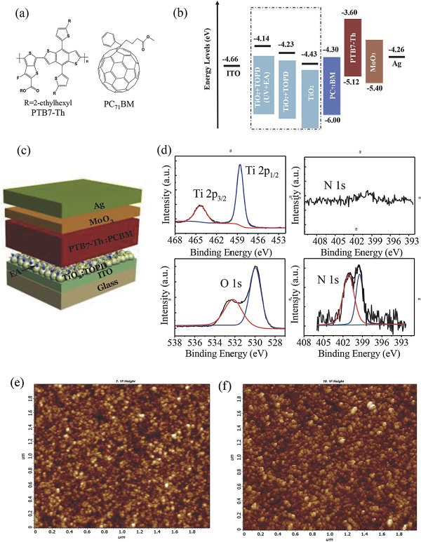 adma201604044-fig-0001-m