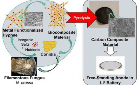 举杯共饮,同庆工程师们研发出新型储能材料