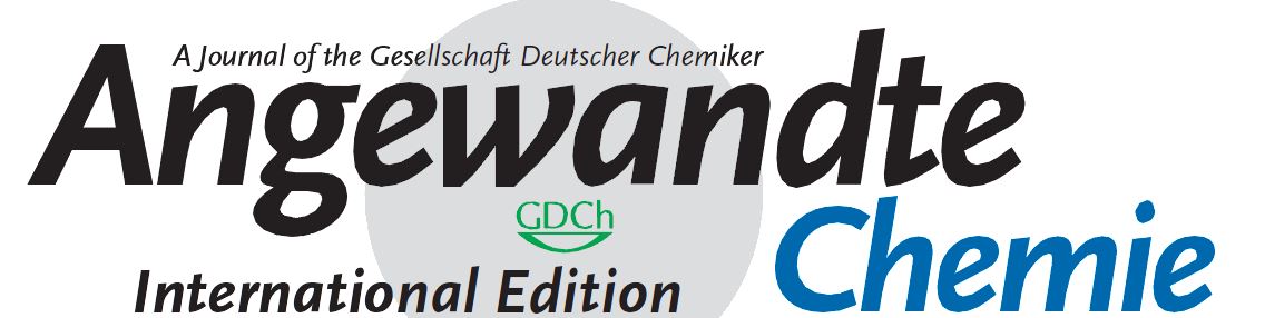 顶刊动态 | Angew：9月材料前沿科研成果十大精选