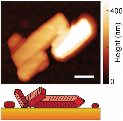 crystal-image-1
