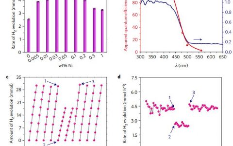 郭烈锦Nature子刊：用孪生纳米晶体和非锚定的NiSx作助催化剂光催化制氢
