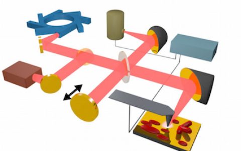 听说显微镜下能观察分子取向了？！