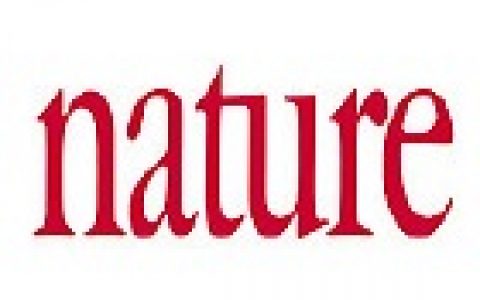 材料人报告丨从Nature文章发文数据，看中国学术崛起之路