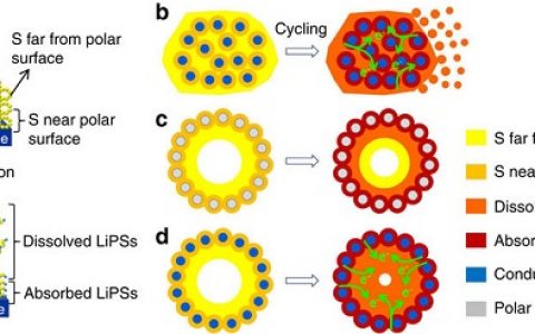 楼雄文&刘利民Nature子刊：TiO@C空心球包裹硫的正极材料用于高性能锂硫电池