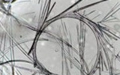 Natue子刊:16年诺奖得主Stoddart教授最新成果!