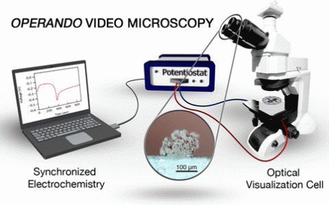 他们给电池开了个窗口来拍摄锂金属电池内部锂枝晶的生长