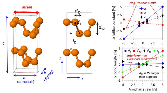 These ball-and-stick models, at left, depict the uniquely puckered atomic structure of a material called black phosphorus. The graphs at right show details that describe the existence of a naturally occurring exotic property in which a material becomes thicker when stretched – the opposite of most materials - a discovery that could lead to new studies into the fundamental science of nano-materials behavior. (Purdue University image/Peide Ye)