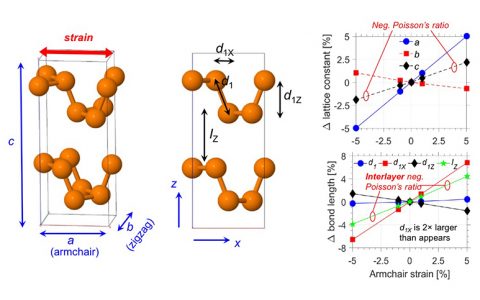 负泊松比材料?搅起材料研究的新波澜