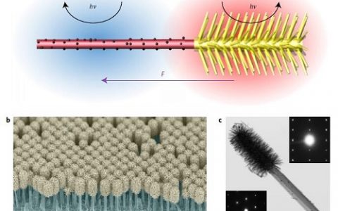 唐晋尧Nature子刊:人工设计的趋光性微型发动机
