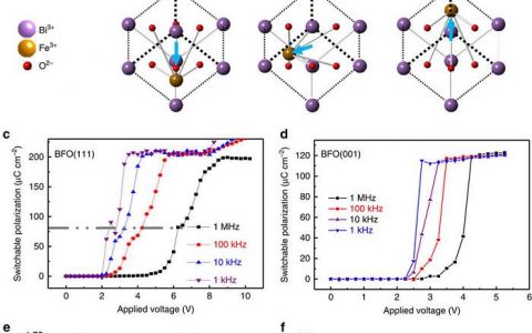 Nature子刊：具有永久铁电保持性的铁酸铋介观晶体