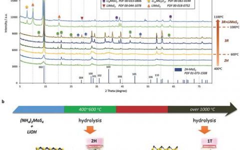 Adv. Mater. 天津大学:目标合成可用于催化析氢的单层2H-和1T-相MoS2