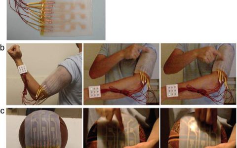 Adv. Mater. 王中林-具有机械耐久性、超弹性的纳米发电机