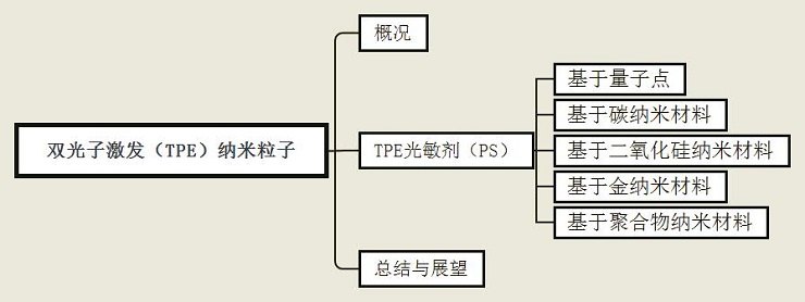 综述导览图