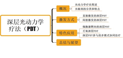 综述导览图