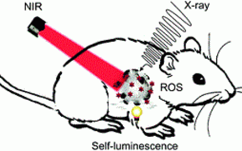 Chem. Soc. Rev. 陈小元综述:克服光动力学疗法的阿喀琉斯之踵