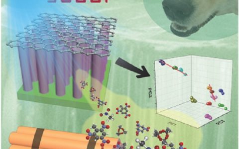 Adv. Mater.：安全的保障-光电肖特基传感实现对爆炸物蒸汽的痕量级识别