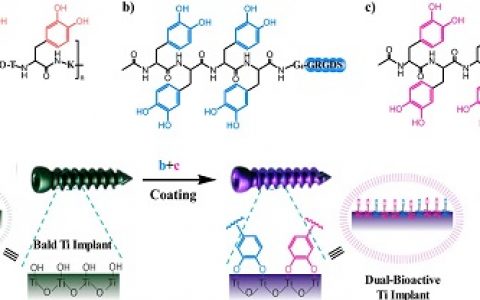 JACS.：苏州大学-贻贝衍生的缩氨酸仿生设计用于双功能钛基生物材料
