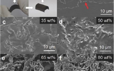 Adv. Mater.:疯狂的纳米复合材料-给热电材料带来意外的惊喜