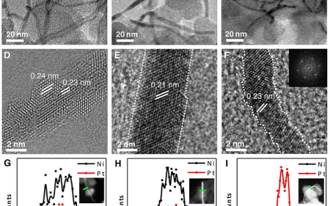 Science：氧还原反应——超高质量比活性的超细锯齿状Pt纳米线