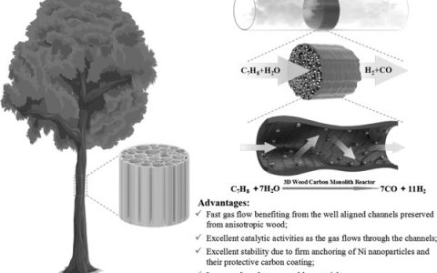Adv. Mater.上海理工大学：高性能、低弯曲木材碳整体反应器