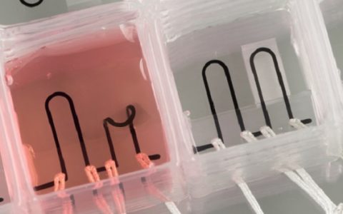 3D打印的一小步,人类健康的一大步!