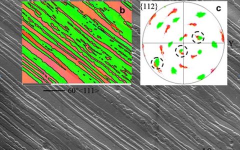 学术干货丨EBSD在孪晶分析中的应用