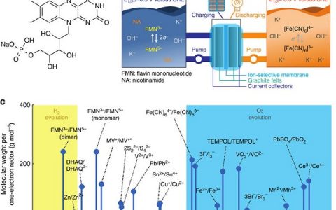 Nature子刊：基于黄素单核苷酸的仿生氧化还原液流电池