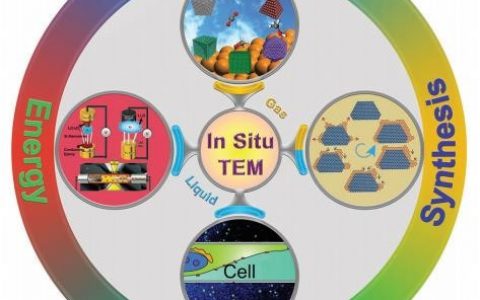学术干货│原位透射电镜在材料气液相化学反应研究中的作用