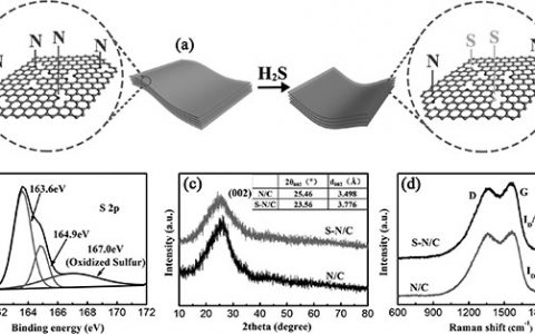 Adv. Mater. :钠离子电池私人定制的S摻杂富N碳纳米层片阳极材料