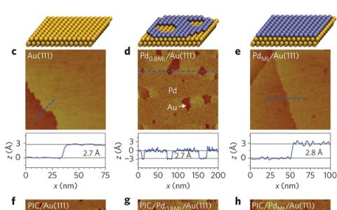 厦门大学Nature子刊:TERS对双金属表面电子和催化性能的探测