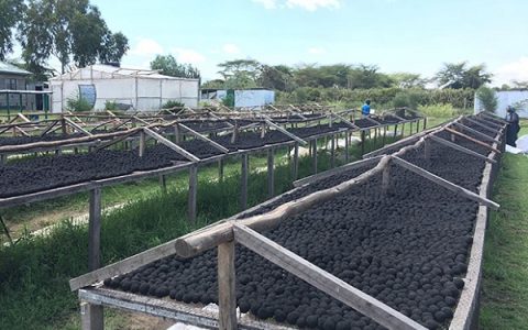 变废为宝新实例：废物 + 太阳能 → 生活燃料！