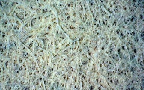 第一代纸基陶瓷制备的随机激光器出炉啦！