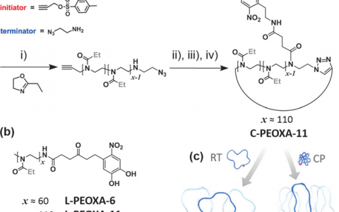 Angew. Chem. Int. Ed.：拓扑聚合物的表面科学-线性与环状聚合物刷