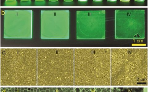曾海波最新Adv. Mater. 通过控制配体密度得到具有极高外量子效率的纯无机钙钛矿发光二极管（QLEDs）