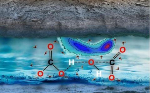 原来你是这样的碳!