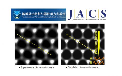 JACS曾海波&谢政：大产量合成、原子结构、优良光限幅性能让锑烯走出理论迷雾