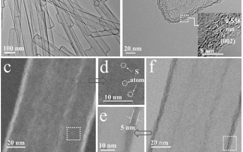 Adv. Mater. :利用“固体双离子转化”路线合成高性能S,N共掺碳纳米管