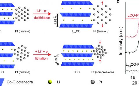 崔屹最新Science:LiCoO2充放电调节催化剂晶格应变增强ORR活性