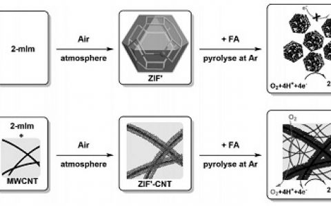 厦门大学Adv. Mater.通过碳纳米管交联热解ZIF提高质子交换膜燃料电池中的氧还原性能