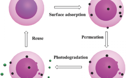 Adv. Mater. 路建美教授综述:微纳复合材料在环境治理中的应用