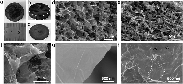 adma201604031-fig-0001-m